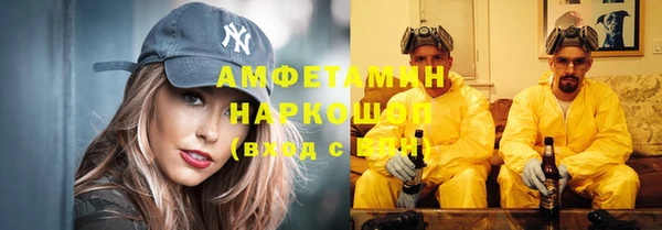 трава Беломорск