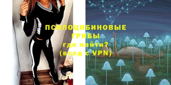 спиды Белокуриха